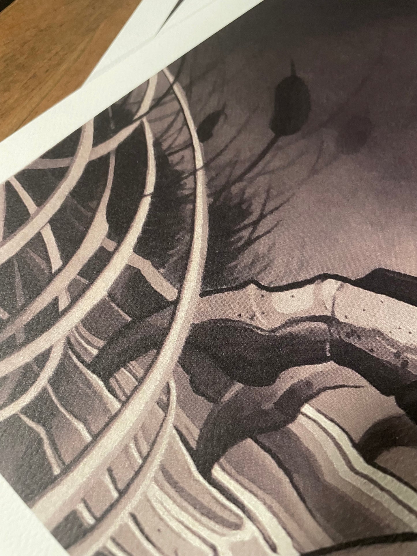 “KAPPA” Fine Art Print